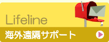 海外遠隔サポート