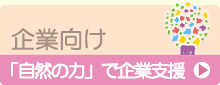 企業向け・「自然の力」で企業支援