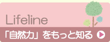 自然力をもっと知る